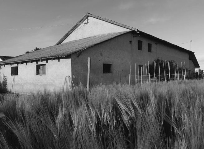 Casolare di campagna in bianco e nero con campo di grano in primo piano.